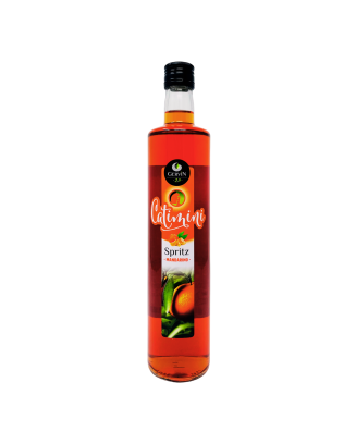 Gervin - Catimini Mandarino Spritz - La Cave Epicurienne