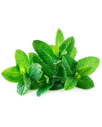 Scouflaire - Groene muntsiroop - La Cave Epicurienne