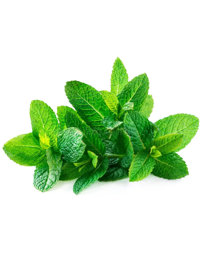 Scouflaire - Groene muntsiroop - La Cave Epicurienne