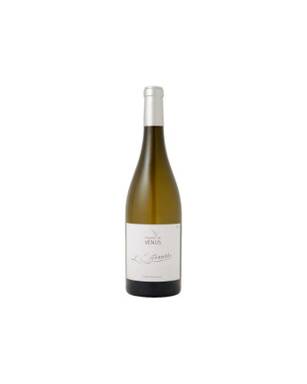 Domaine de Vénus - Effrontée Bio - IGP Côtes du Roussillon - La Cave Epicurienne