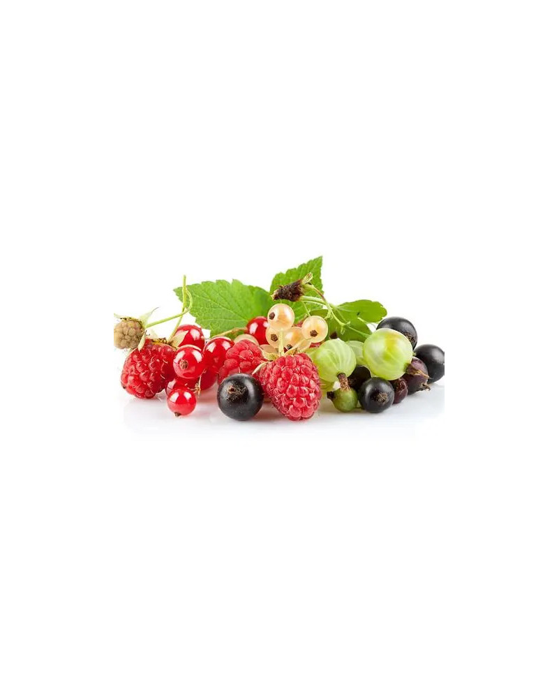 Bio Délicatesse - 4 Fruits - La Cave Epicurienne