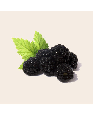 Bio Délicatesse - Mûres - La Cave Epicurienne