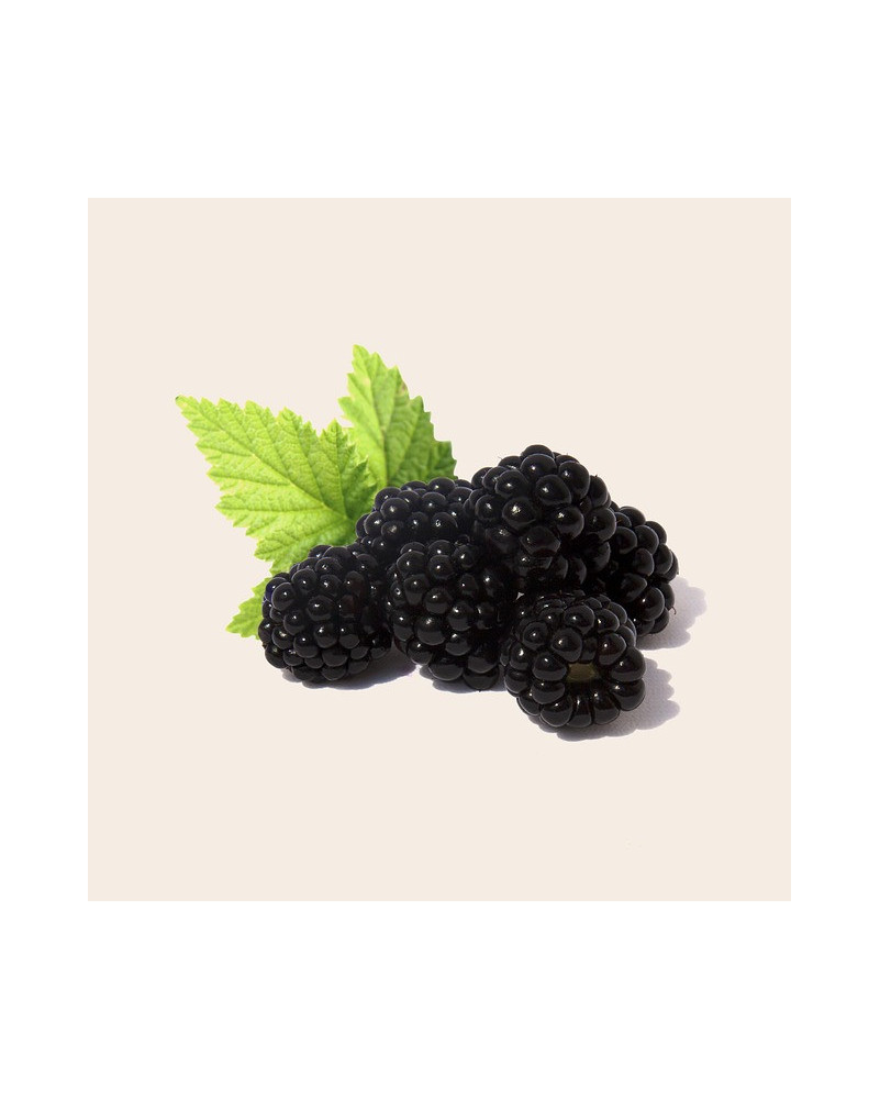Bio Délicatesse - Braambes - La Cave Epicurienne
