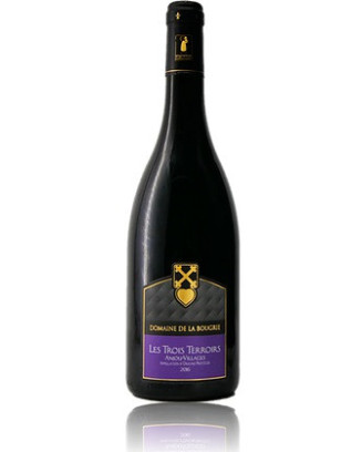 Domaine de La Bougrie - Anjou rouge - La Cave Epicurienne