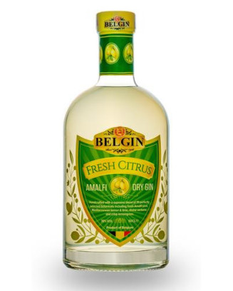 Gin Fresh Citrus - Belgin - La Cave Epicurienne