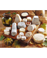 Fromages de chèvre