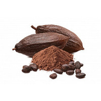 Sucre & Cacao